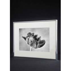29,7 x 42 cm (A3) Nielsen Fotoramme Accent i Aluminium - Shine Silver